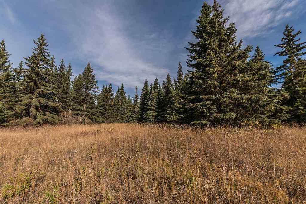 MLS® A2213739 -  Range Road 12   in NONE Rural Red Deer County, Agri-Business