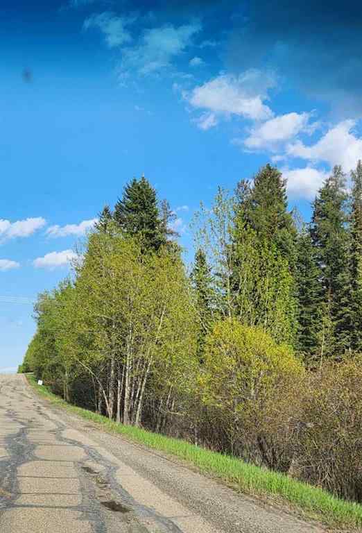 MLS® A2214041 - 71037 Township Road 39-3   in NONE Rural Clearwater County, Land