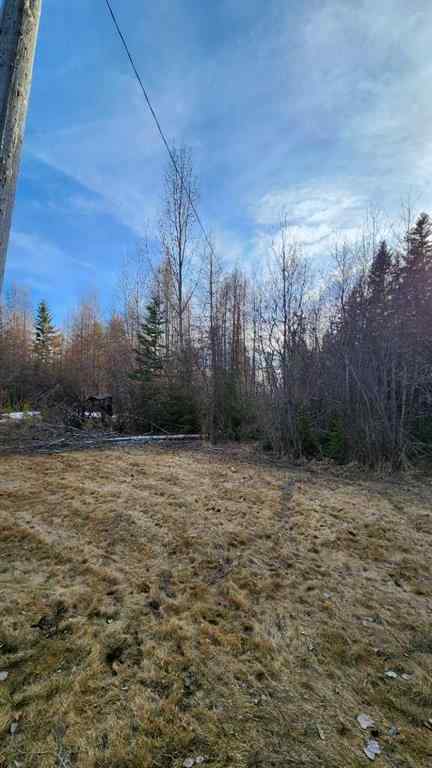 MLS® A2214041 - 71037 Township Road 39-3   in NONE Rural Clearwater County, Land