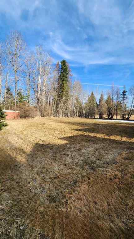 MLS® A2214041 - 71037 Township Road 39-3   in NONE Rural Clearwater County, Land
