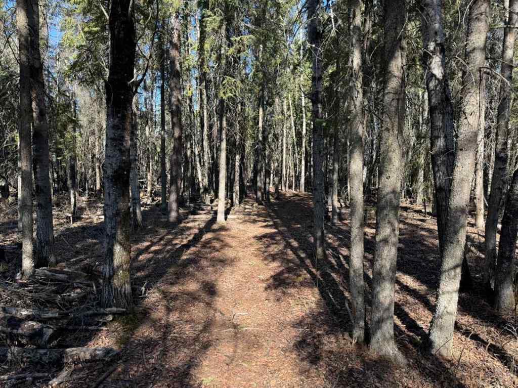 MLS® A2214491 - 77029 Highway 2   in NONE Rural Smoky River No. 130, M.D. of, Residential