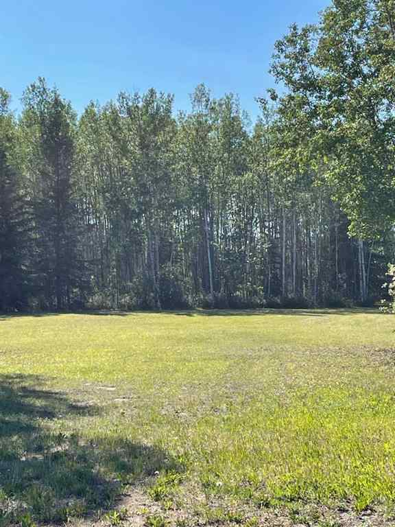 MLS® A2214738 - Lot #4   in NONE Rural Mackenzie County, Land