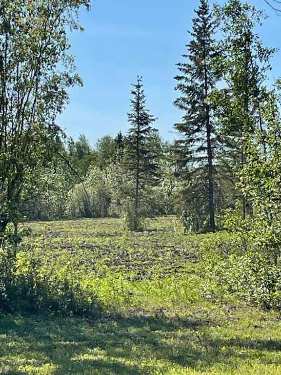 MLS® A2214738 - Lot #4   in NONE Rural Mackenzie County, Land