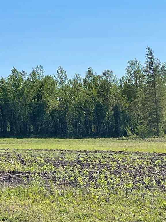 MLS® A2214743 - Lots 5 & 6   in NONE Rural Mackenzie County, Land