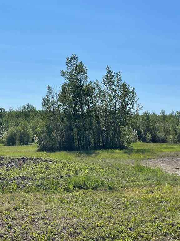 MLS® A2214743 - Lots 5 & 6   in NONE Rural Mackenzie County, Land