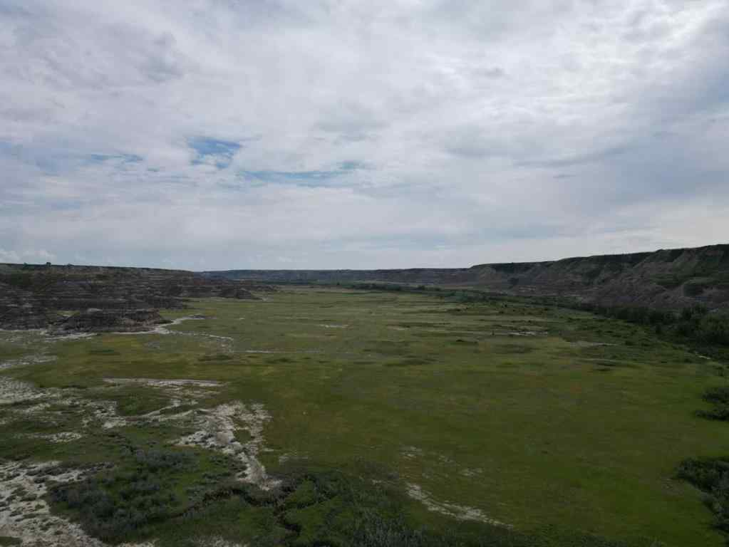 MLS® A2215281 - NE-9-30-21-W4 Starland County   in NONE Rural Starland County, Land