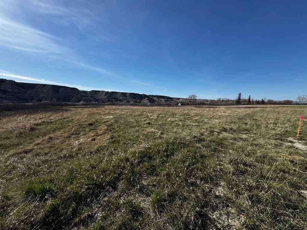 MLS® A2215281 - NE-9-30-21-W4 Starland County   in NONE Rural Starland County, Land