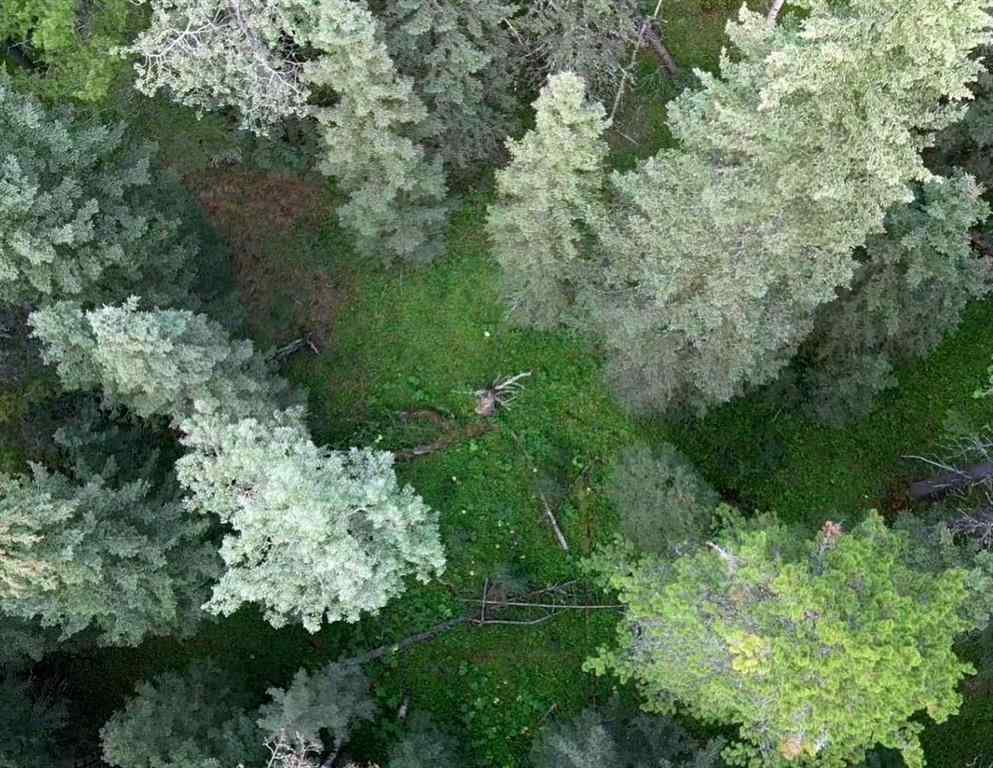 MLS® A2215687 -  Mountain Lion Drive  in NONE Rural Rocky View County, Land