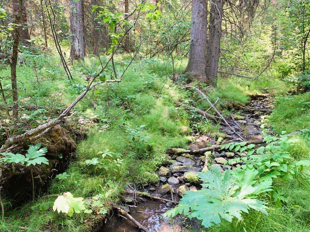 MLS® A2215687 -  Mountain Lion Drive  in NONE Rural Rocky View County, Land