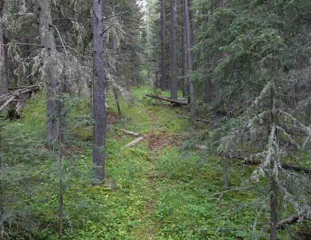 MLS® A2215687 -  Mountain Lion Drive  in NONE Rural Rocky View County, Land