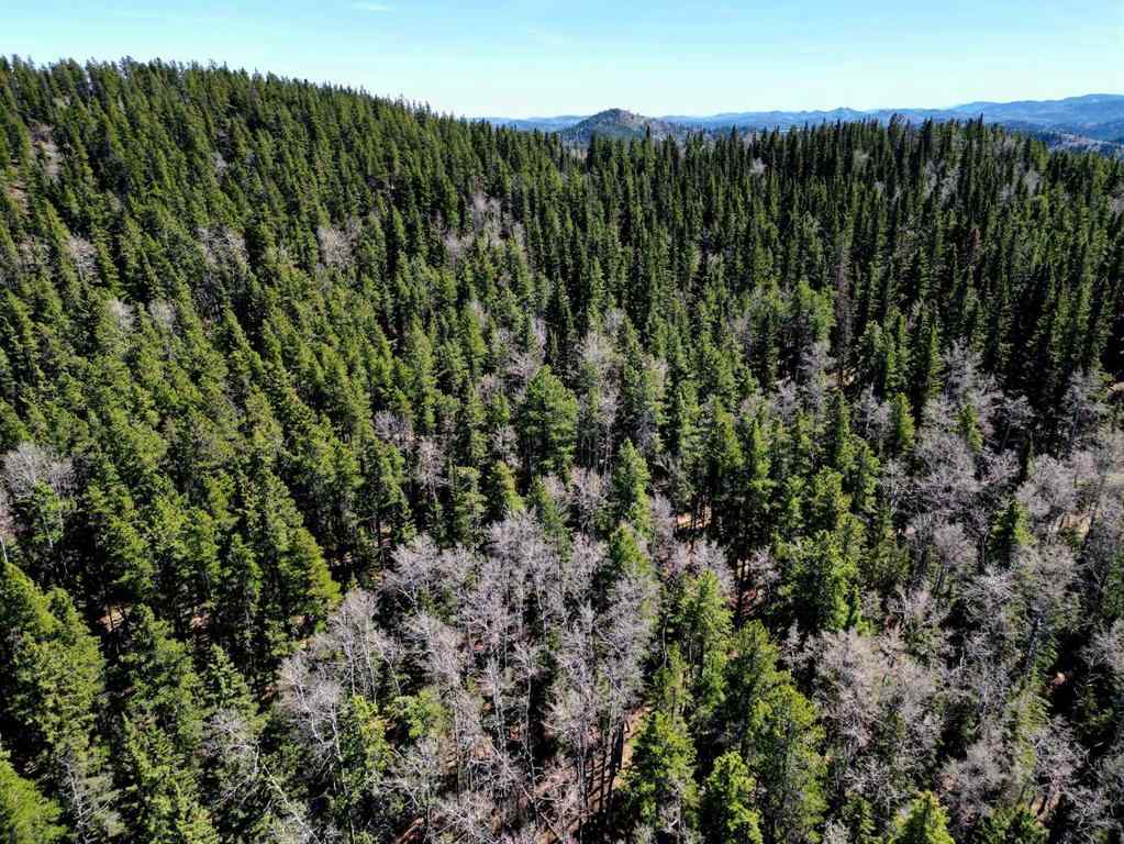 MLS® A2215687 -  Mountain Lion Drive  in NONE Rural Rocky View County, Land