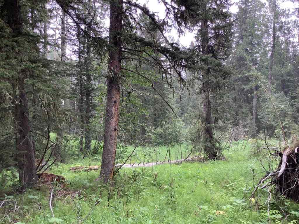 MLS® A2215687 -  Mountain Lion Drive  in NONE Rural Rocky View County, Land