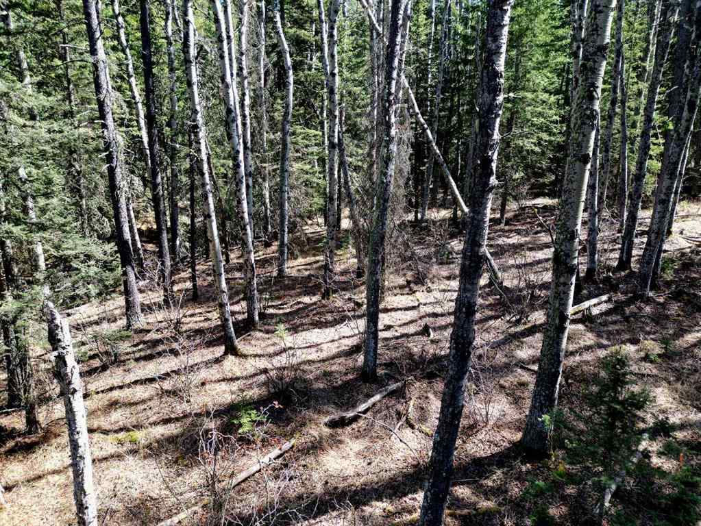 MLS® A2215687 -  Mountain Lion Drive  in NONE Rural Rocky View County, Land