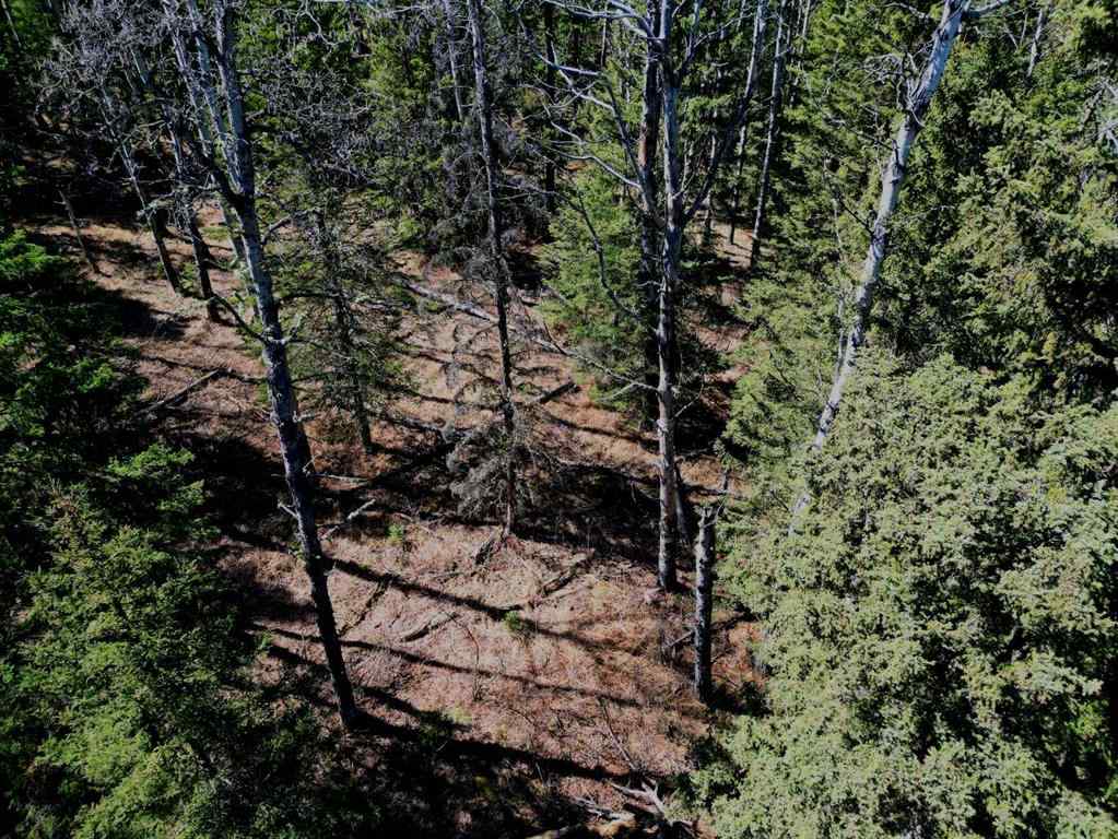 MLS® A2215687 -  Mountain Lion Drive  in NONE Rural Rocky View County, Land