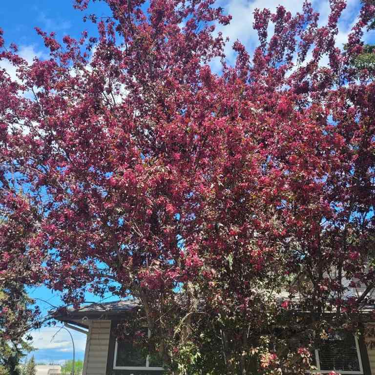 MLS® A2215728 - Unit #10 310 Brookmere Road SW in Braeside Calgary, Residential