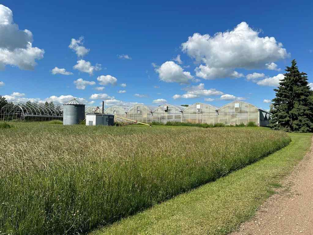 MLS® A2215854 - 38503 Range Rd 12-3   in NONE Rural Paintearth No. 18, County of, Agri-Business