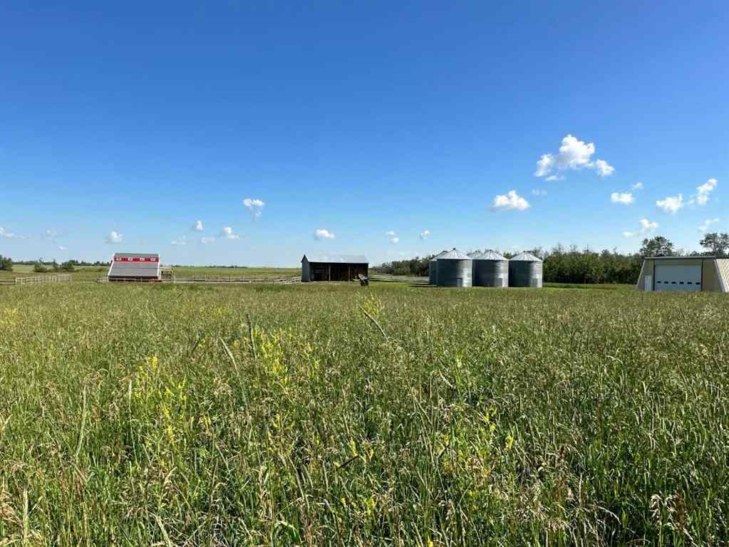 MLS® A2215854 - 38503 Range Rd 12-3   in NONE Rural Paintearth No. 18, County of, Agri-Business