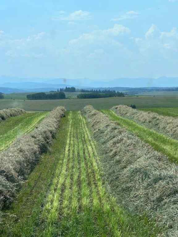 MLS® A2215878 -  177 Avenue  in NONE Rural Foothills County, Land