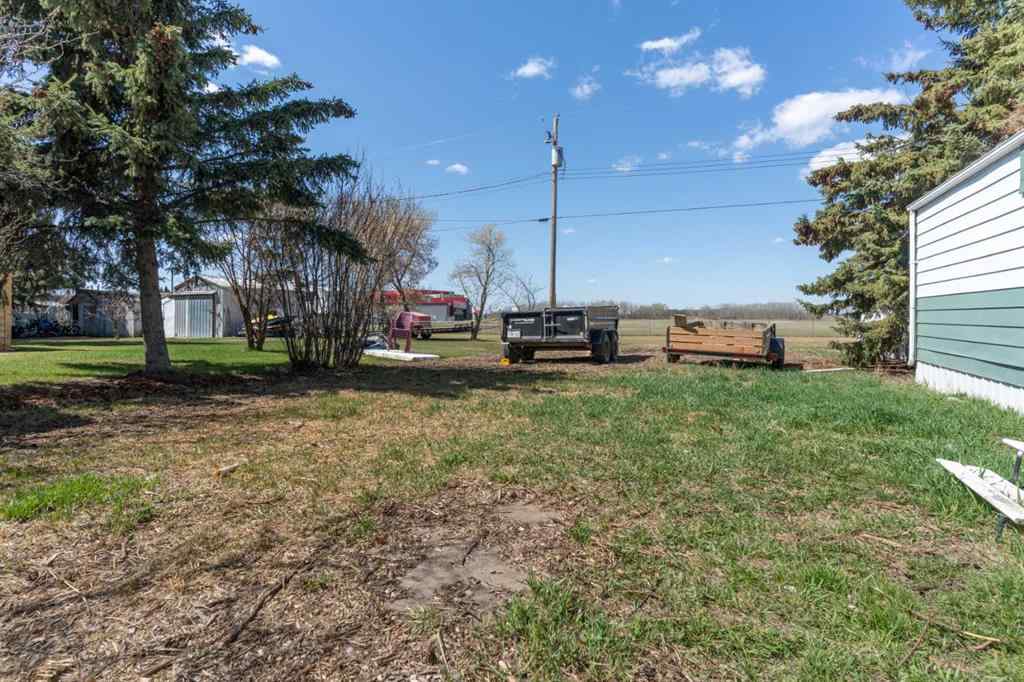MLS® A2215882 - 315 & 317 Macrae Street  in Bawlf Bawlf, Residential