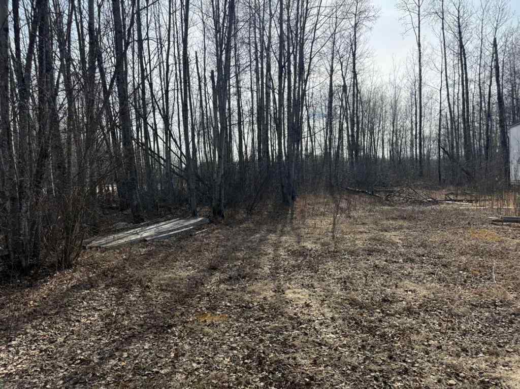 MLS® A2216142 - 154 Poplar Drive Rr   in Conklin Conklin, Land