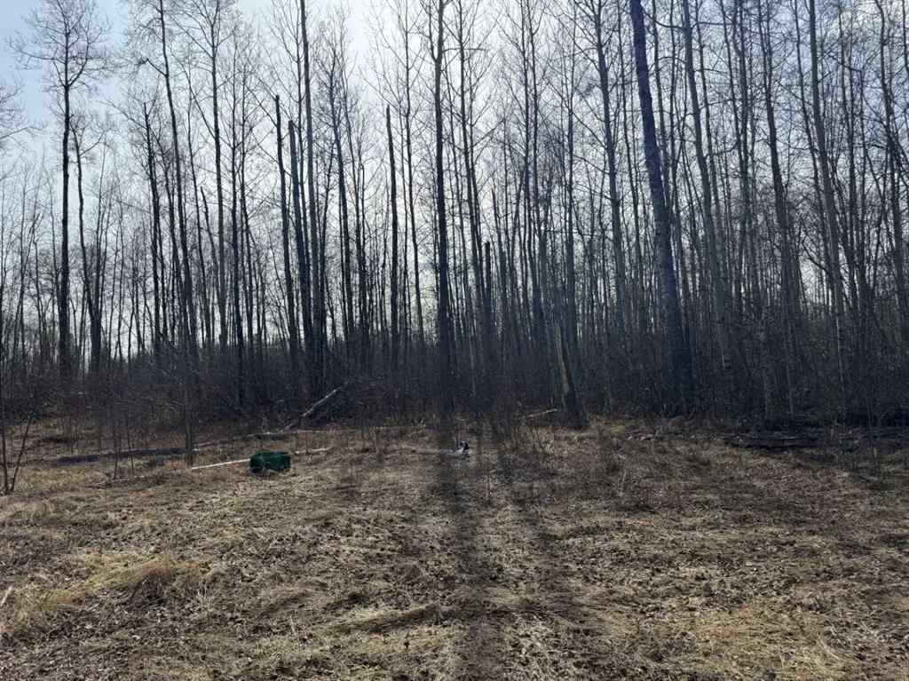 MLS® A2216142 - 154 Poplar Drive Rr   in Conklin Conklin, Land