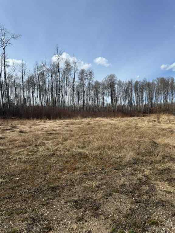 MLS® A2216142 - 154 Poplar Drive Rr   in Conklin Conklin, Land