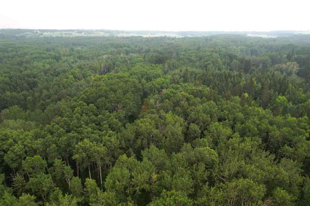 MLS® A2216202 - On Range Road 14   in NONE Rural Ponoka County, Land