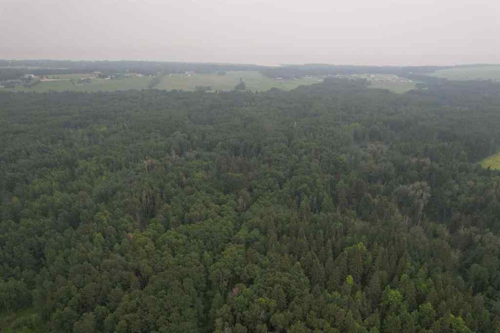 MLS® A2216202 - On Range Road 14   in NONE Rural Ponoka County, Land