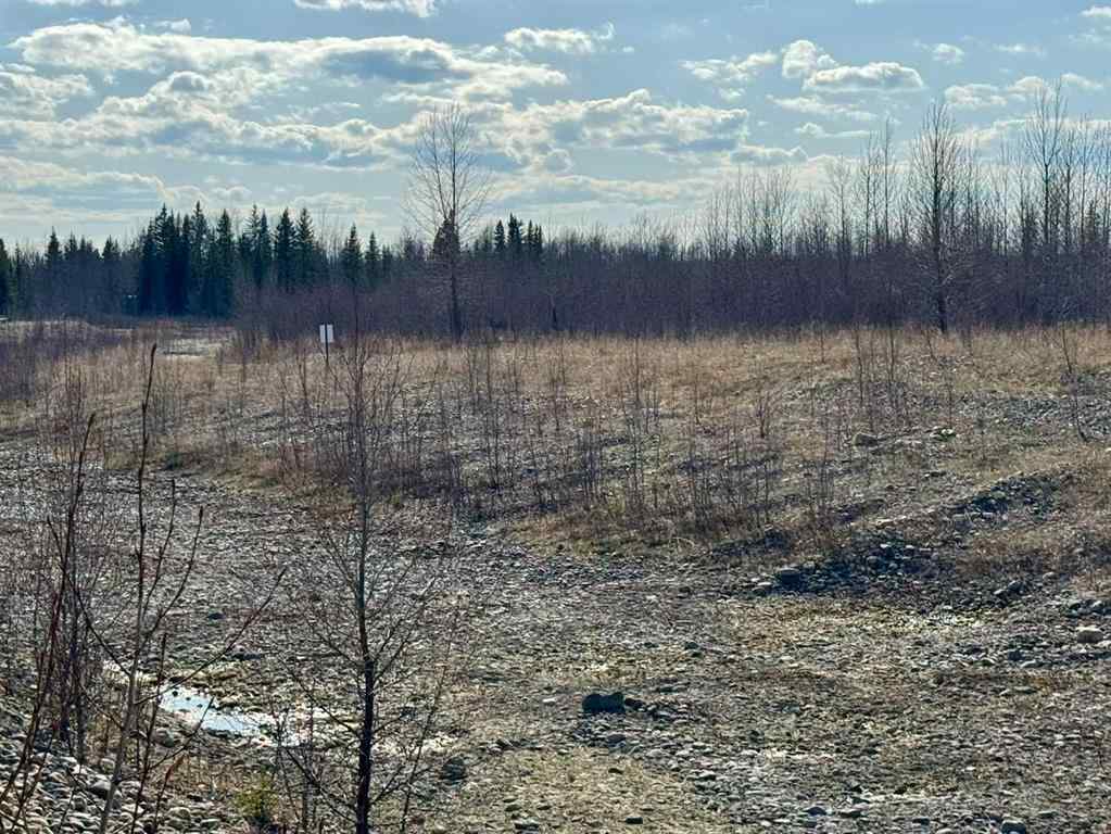 MLS® A2216464 - Unit #45 4136 Highway 587   in NONE Rural Red Deer County, Land