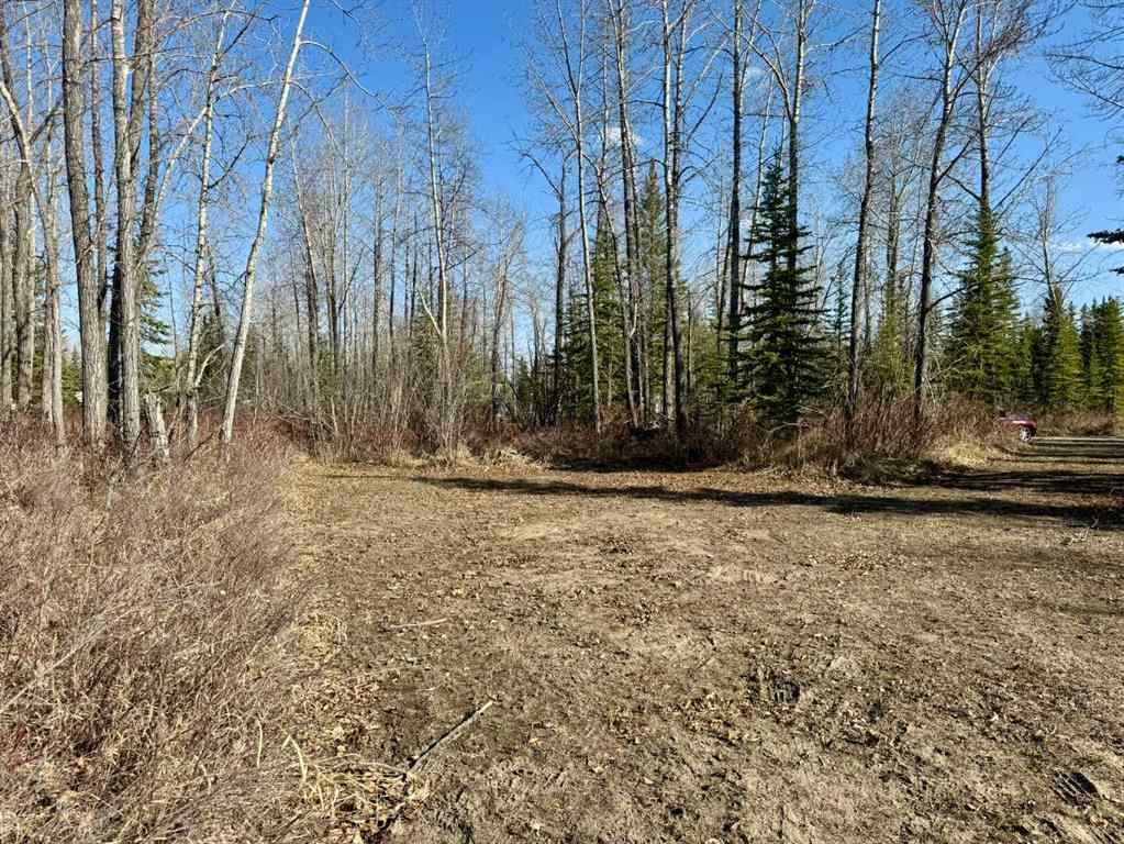 MLS® A2216464 - Unit #45 4136 Highway 587   in NONE Rural Red Deer County, Land