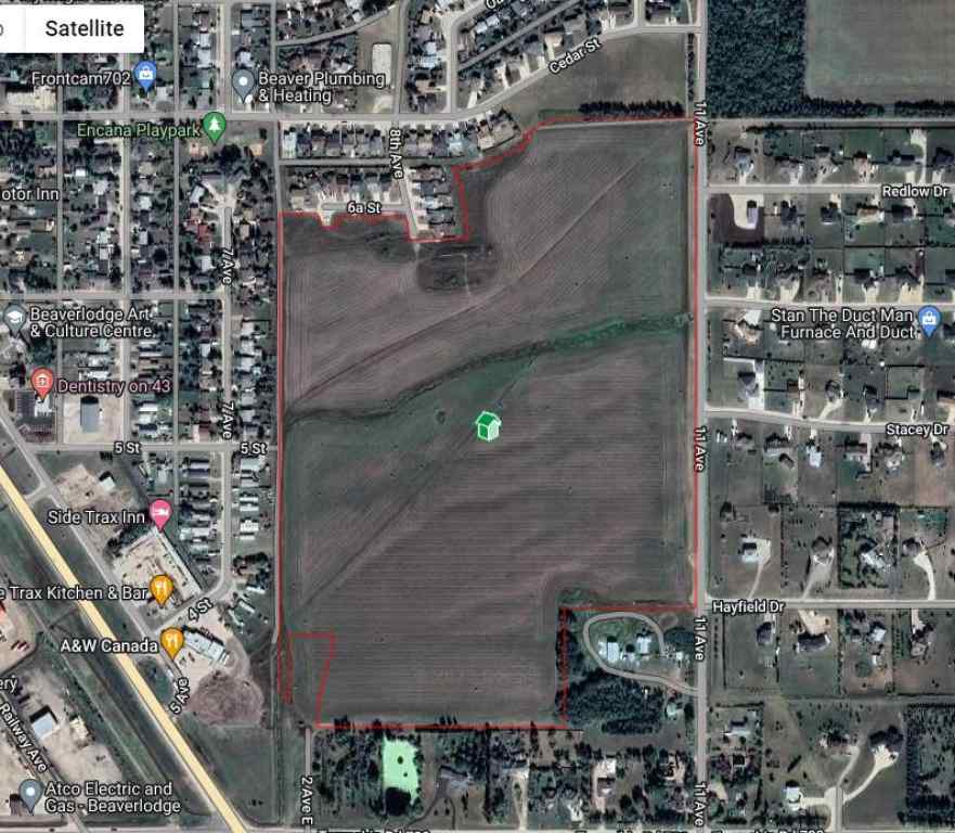 MLS® A2216635 - 11 th Avenue  in NONE Beaverlodge, Land