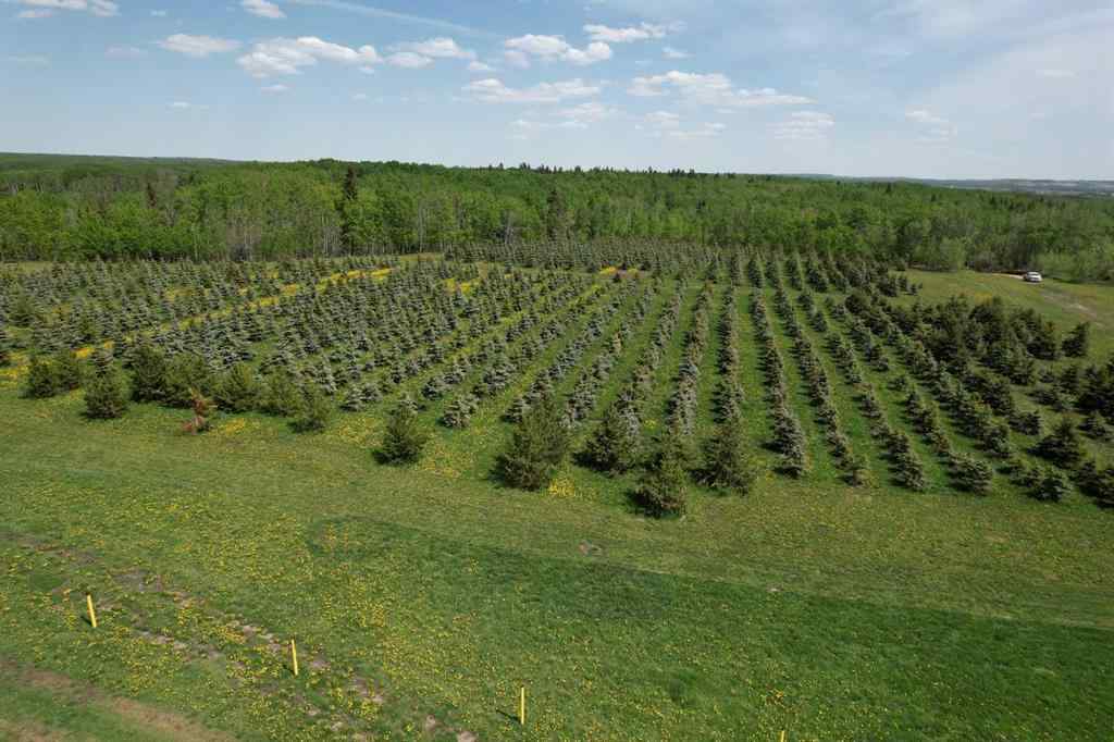 MLS® A2216667 - on Range Road 62   in NONE Rural Grande Prairie No. 1, County of, Agri-Business