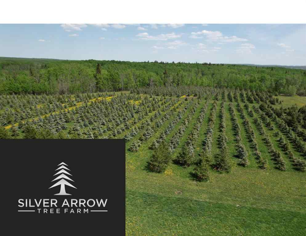 MLS® A2216675 -  62 Range Road  in NONE Rural Grande Prairie No. 1, County of, Commercial