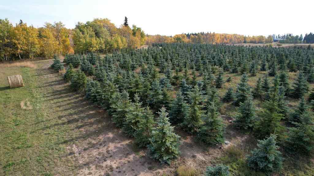 MLS® A2216675 -  62 Range Road  in NONE Rural Grande Prairie No. 1, County of, Commercial