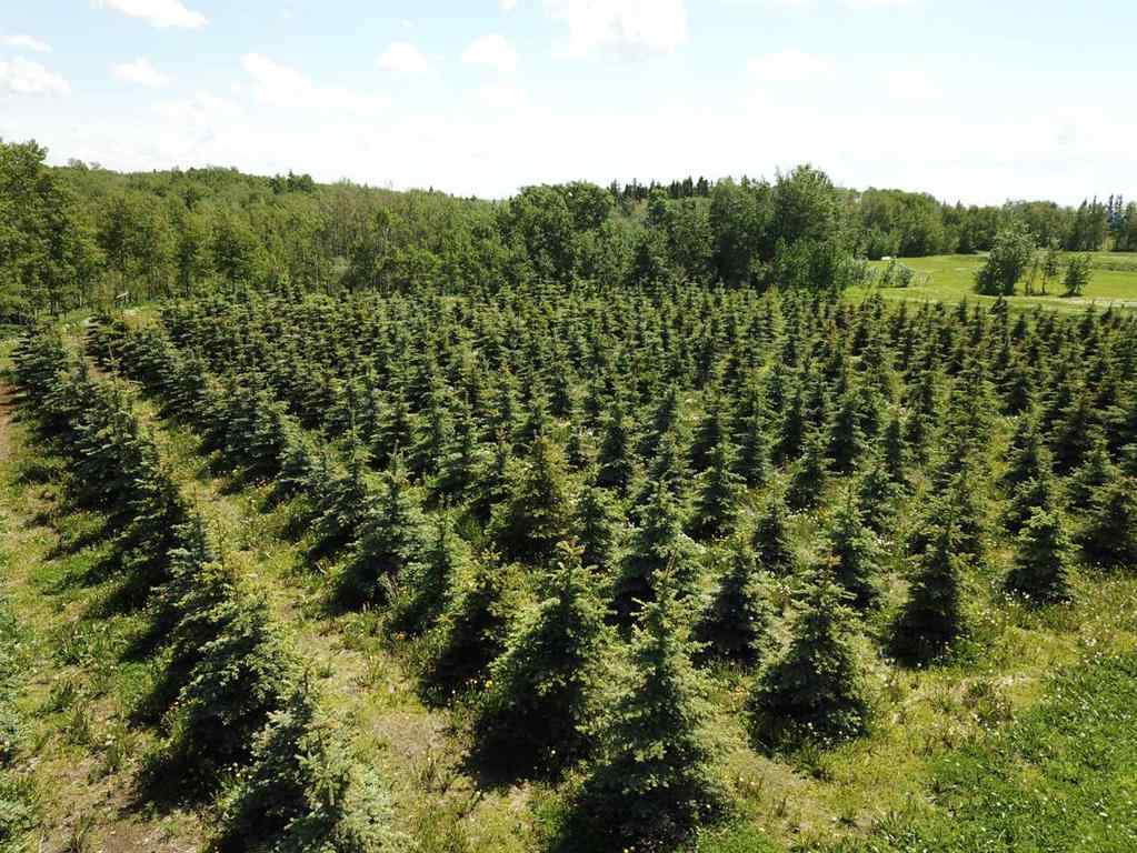 MLS® A2216675 -  62 Range Road  in NONE Rural Grande Prairie No. 1, County of, Commercial