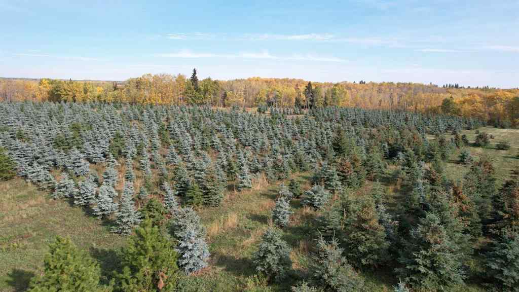 MLS® A2216675 -  62 Range Road  in NONE Rural Grande Prairie No. 1, County of, Commercial