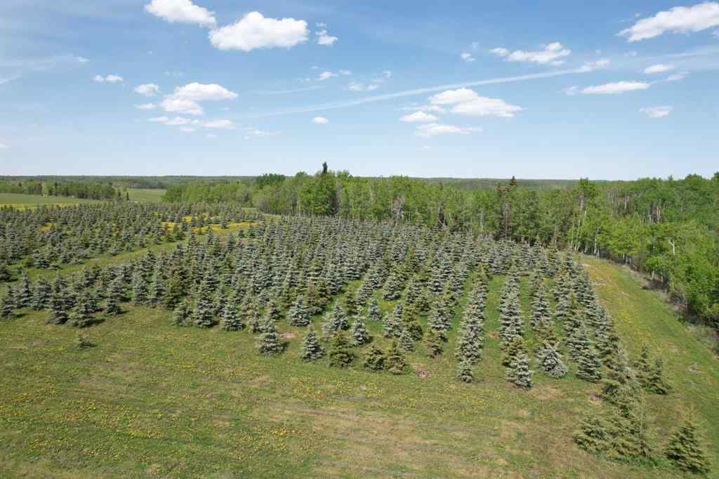 MLS® A2216675 -  62 Range Road  in NONE Rural Grande Prairie No. 1, County of, Commercial
