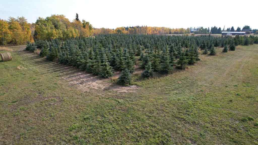 MLS® A2216675 -  62 Range Road  in NONE Rural Grande Prairie No. 1, County of, Commercial