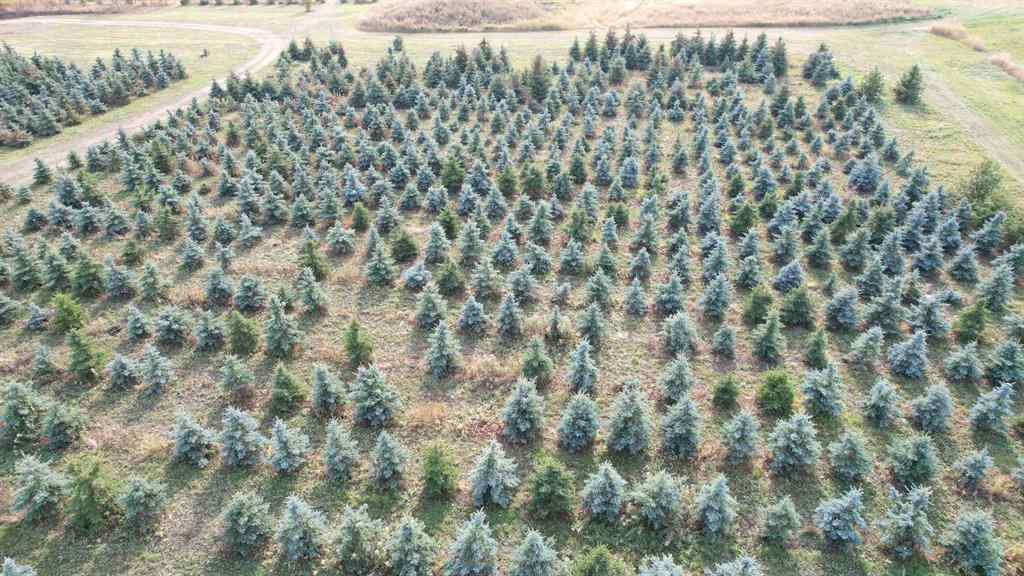 MLS® A2216675 -  62 Range Road  in NONE Rural Grande Prairie No. 1, County of, Commercial
