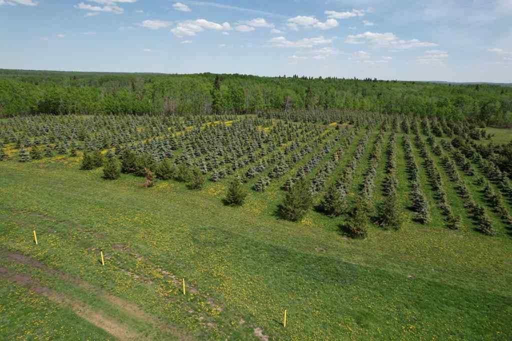 MLS® A2216675 -  62 Range Road  in NONE Rural Grande Prairie No. 1, County of, Commercial