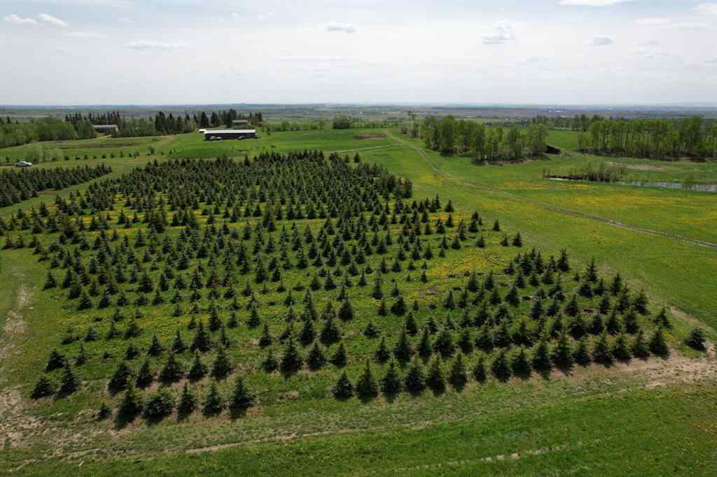 MLS® A2216683 -  62 Range Road  in NONE Rural Grande Prairie No. 1, County of, Land