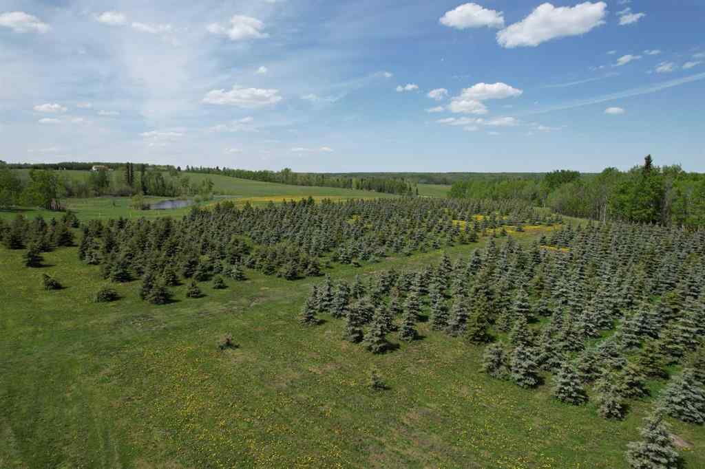MLS® A2216683 -  62 Range Road  in NONE Rural Grande Prairie No. 1, County of, Land