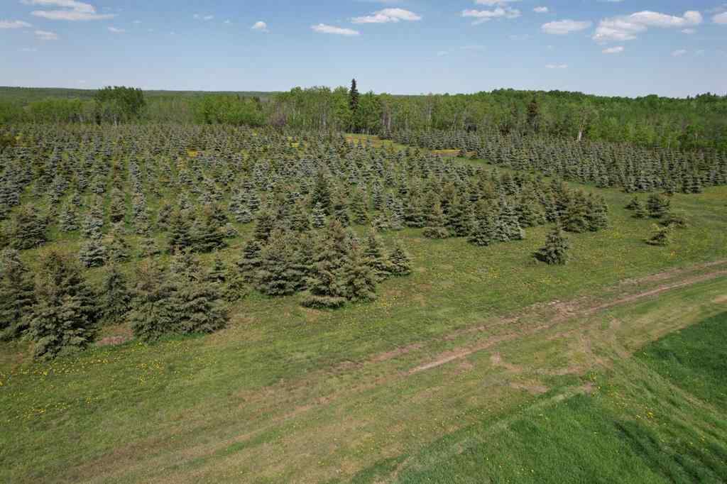 MLS® A2216683 -  62 Range Road  in NONE Rural Grande Prairie No. 1, County of, Land