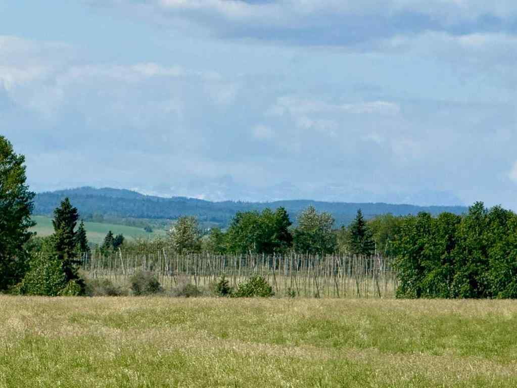 MLS® A2216785 -  RR40 south of Twp Rd 293   in NONE Rural Mountain View County, Land