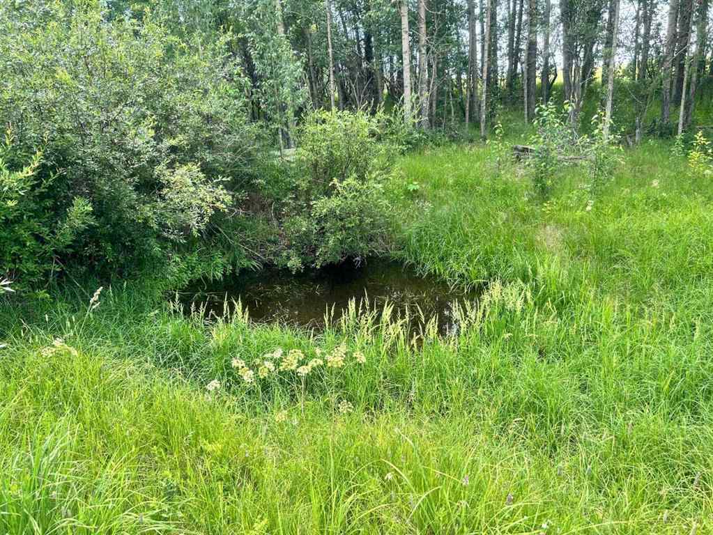 MLS® A2216785 -  RR40 south of Twp Rd 293   in NONE Rural Mountain View County, Land
