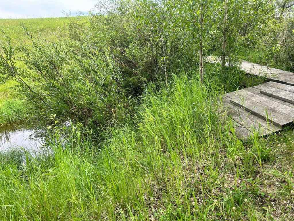 MLS® A2216785 -  RR40 south of Twp Rd 293   in NONE Rural Mountain View County, Land