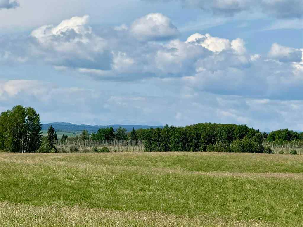 MLS® A2216785 -  RR40 south of Twp Rd 293   in NONE Rural Mountain View County, Land