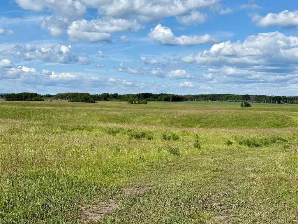 MLS® A2216785 -  RR40 south of Twp Rd 293   in NONE Rural Mountain View County, Land