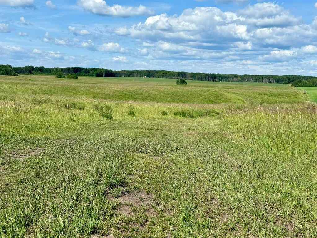 MLS® A2216785 -  RR40 south of Twp Rd 293   in NONE Rural Mountain View County, Land