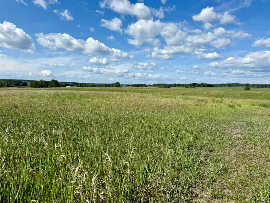 MLS® A2216785 -  RR40 south of Twp Rd 293   in NONE Rural Mountain View County, Land